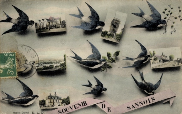 Ak Sannois Val d’Oise, Vögel,  Gebäude, n, Souvenir de Sannois