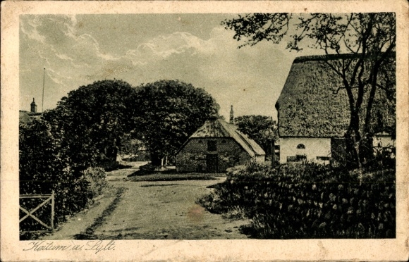 Het eiland Sylt in Noord-Friesland, een historisch landschap met boerderijen, bomen en een pad.