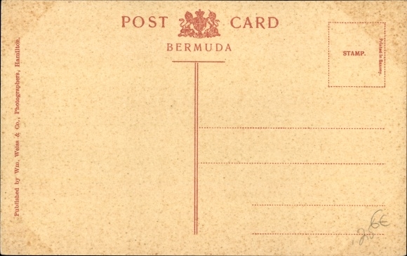 Postcard Bermuda, Devonshire Church, Cedar Tree