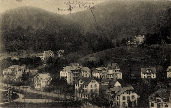 Postcard Bad Herrenalb in the Black Forest, view of houses on a hill, wooded surroundings