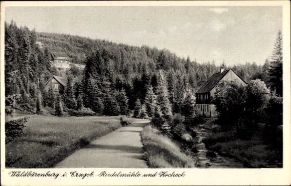 Ak Waldbärenburg Bärenburg Altenberg im Erzgebirge, Landschaftsaufnahme, Wald, Häuser, Hügel, Rie