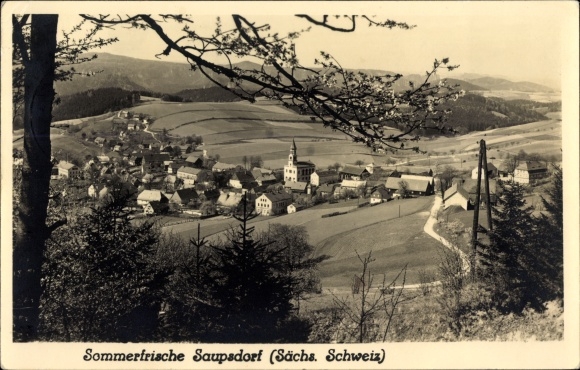 Postcard Saupsdorf Sebnitz in Saxony, view of the town, fields, church
