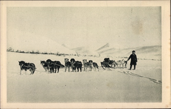 Ak Wagon lits de l'Arctique, Alaska, hondenslee