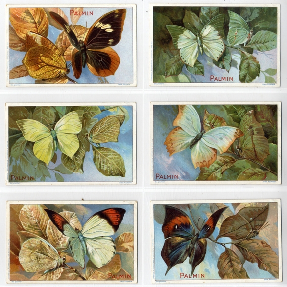 Kaufmannsbilder Series 6 pictures, imitator butterflies, Palmin Schlinck &amp; Cie., Hamburg