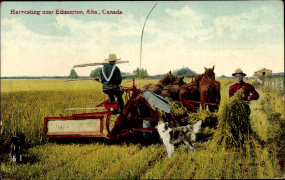 PC Alberta Kanada, zbiory w pobliżu Edmonton