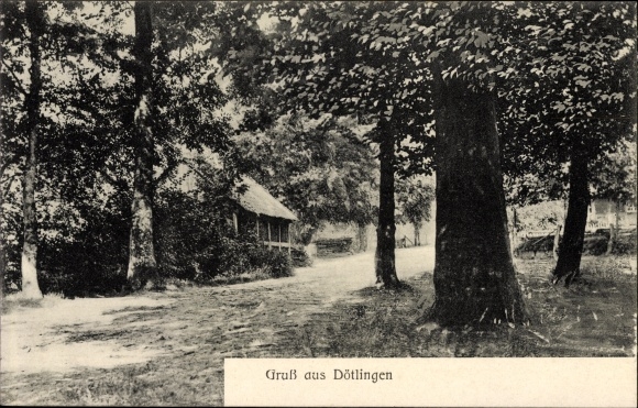 Postcard Dötlingen in Lower Saxony, forest area, trees, forest path
