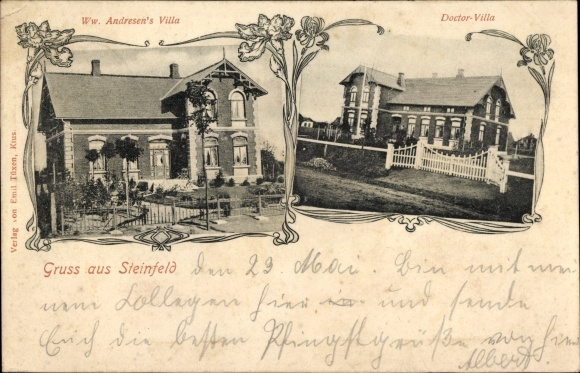Ak Steinfeld in Schleswig, Villa von Ww. Andresen, Doctor Villa