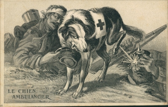 Postcard French medical dog pees on German soldiers