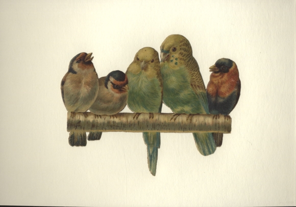 Oblate birds including 2 tits and 2 budgies on a wooden stick, size approx. 14.5 x 18 cm