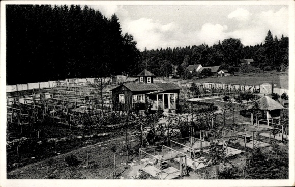 Postcard Isabellengrün Burgk in Thuringia, Elite Fur Farm Saaletalsperre