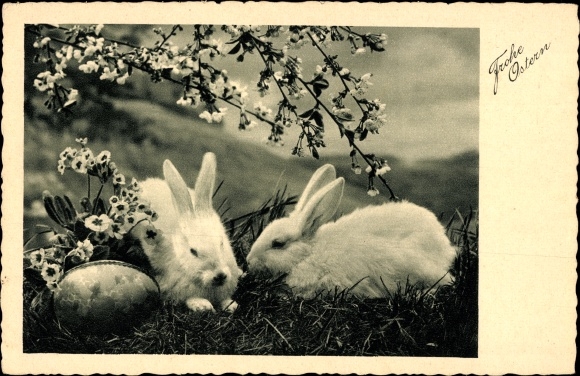 Postcard Congratulations Easter, White Rabbits, Easter Egg, Flowering Tree