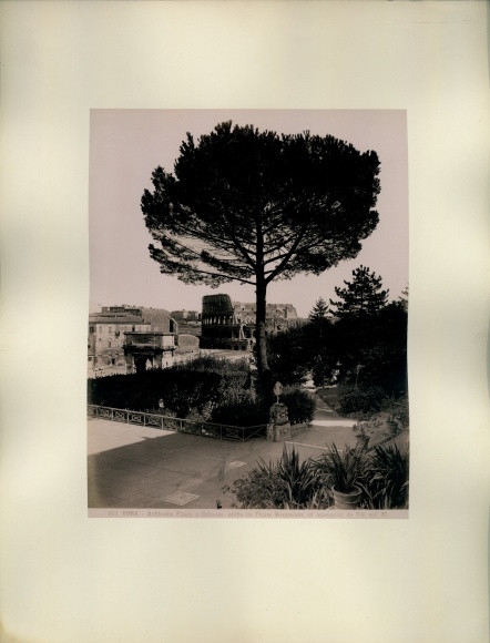 Photo around 1880, Roma Rome Lazio, Colosseum, Arch of Constantine