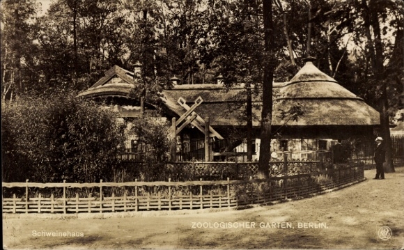 Postcard Berlin Tiergarten, Berlin Zoological Garden, Wild Boar Enclosure