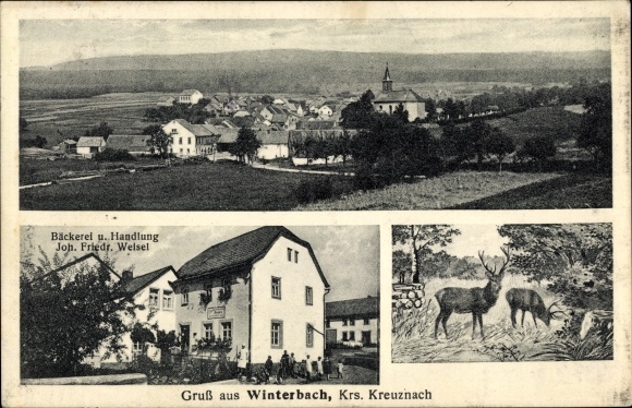 KP Winterbach im Soonwald Hunsrück, panorama, piekarnia i akcja, jeleń