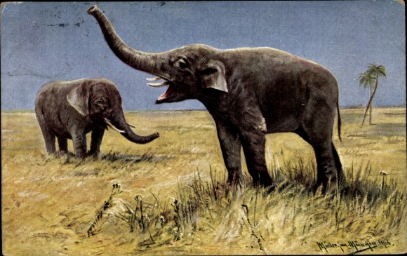 Artist PC Müller, Moritz jun., elephants in the steppe