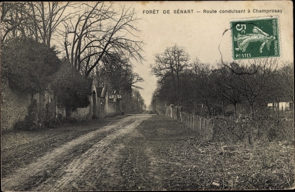 Ak Forêt de Sénart Essonne, Route conduisant a Champrosay