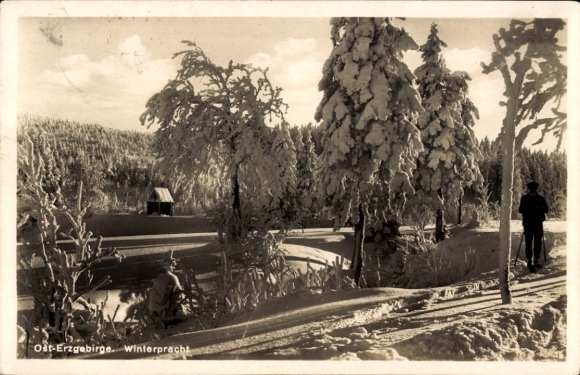 Ak Zinnwald Georgenfeld Altenberg im Erzgebirge, Winterpracht