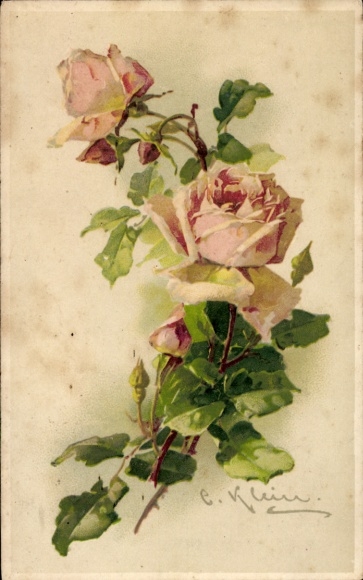 Artist Postcard Klein, C., roses, flowers