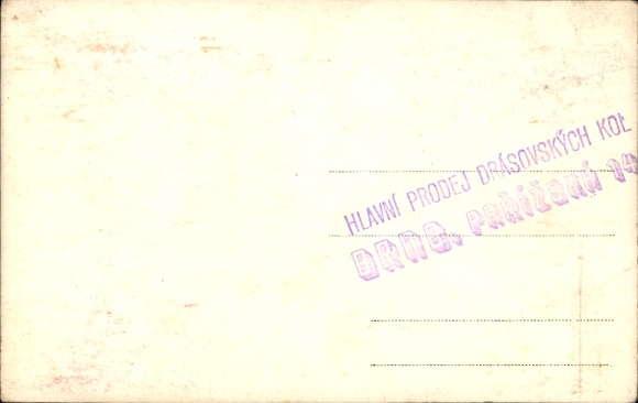 Photo Postcard Brno Brno South Moravia, lack of laundry