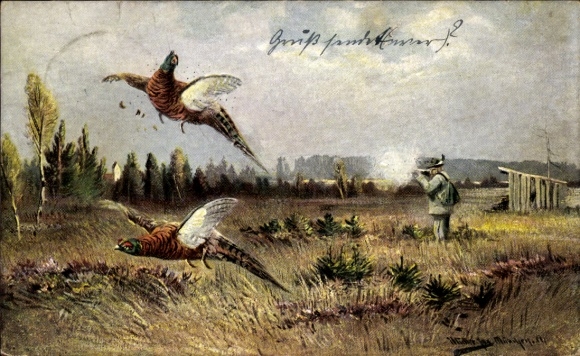 Artist Postcard Müller, jun., Feathered Game, Hunting Scene, Pheasants