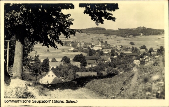 Foto Ak Saupsdorf Sebnitz Sächsische Schweiz, Teilansicht