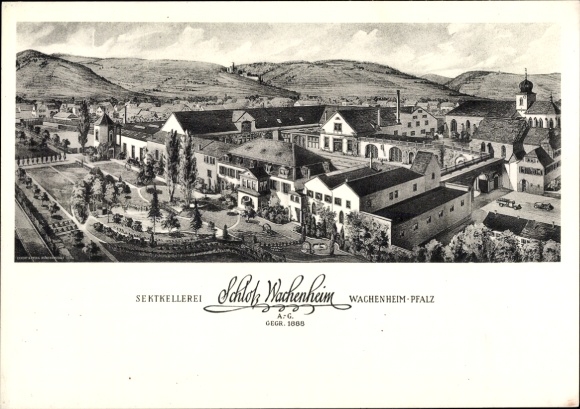 Artist PC Wachenheim Pfrimm, sparkling wine castle Wachenheim