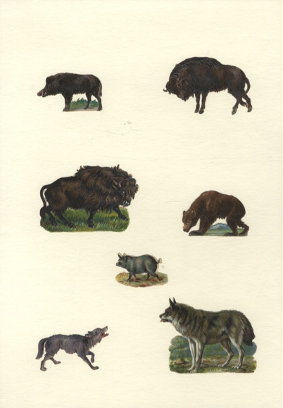 7 wafers wild animals, wild boar, bison, wolf, bear, approx. 5 x 7 cm to 2.5 x 4 cm