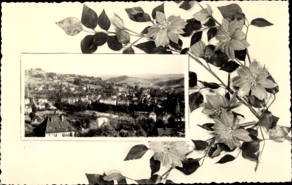 Ak Sebnitz Sächsische Schweiz, Blick auf Sebnitz, Landschaft, Blumenmotiv, Schwarz-Weiß-Foto