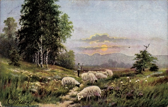 Picture PC Neustadt in Saxony, a shepherd tends his sheep in a meadow. In the background are trees...