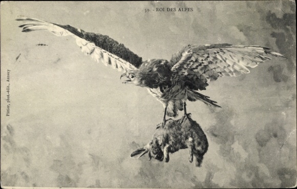 CPA King of the Alps, An eagle