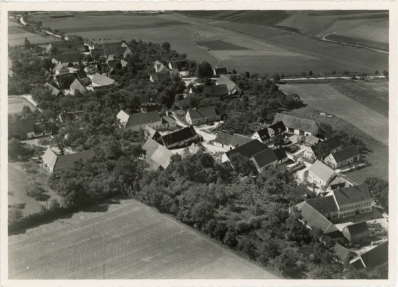 Foto Zeltingen an der Mosel, Luftaufnahme