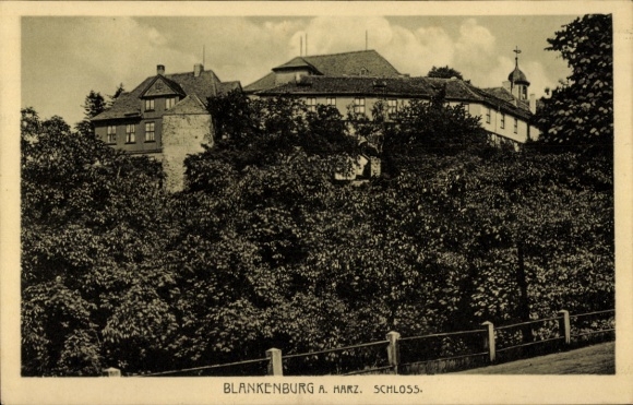 Postcard Blankenburg am Harz, castle ruin with trees in front