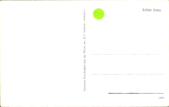 Postcard Texel Noord-Holland Nederland, Zilvermeeuw hoogst aggressive
