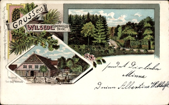 Chromo-Litho Wilsede Bispingen in the Lüneburg Heath, Gasthof Christoph Witthöft, forest path