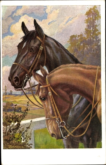 Artist Postcard Trache, R., Brown and black horse with bridle