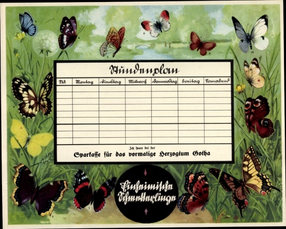 Timetable Sparkasse Herzogtum Gotha, local butterflies, insects, arthropods around 1930