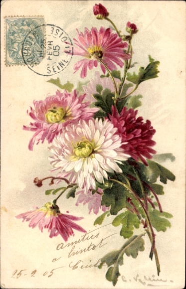 Artist Postcard Klein, Catharina, Chrysanthemums in different colors