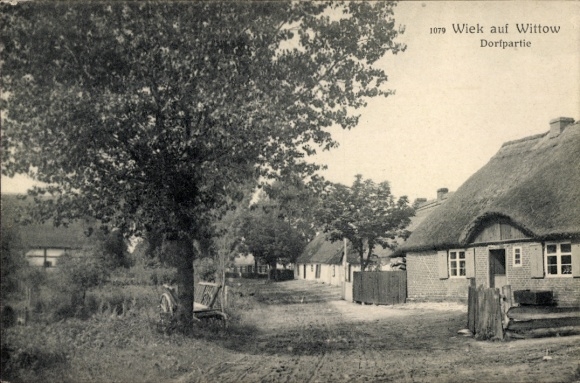 Ak Wiek op Rügen, dorpsgezicht, huizen met rieten daken, bomen