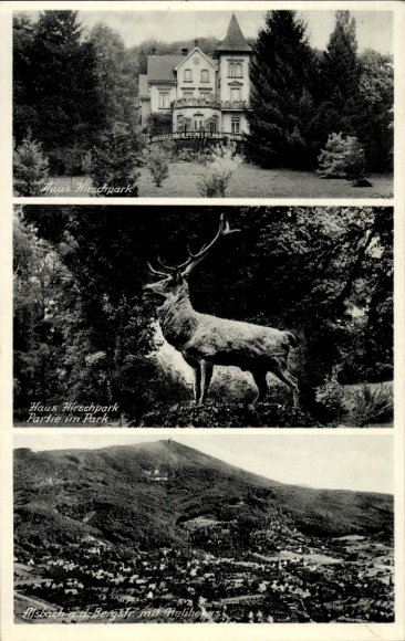 Postcard Alsbach Hähnlein Hessen, Panorama, Haus Hirschpark