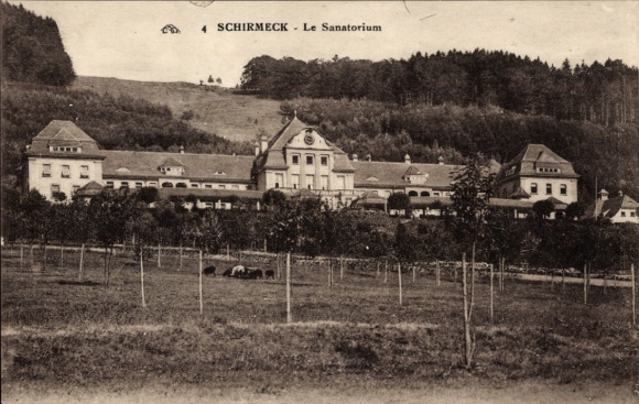 Postcard Schirmeck Alsace Bas Rhin, sanatorium, landscape, trees, meadow, animals