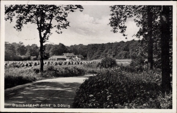 Ak Dölzig Schkeuditz in Sachsen, Domholzschänke b.  Waldlandschaft, Straße, Bäume