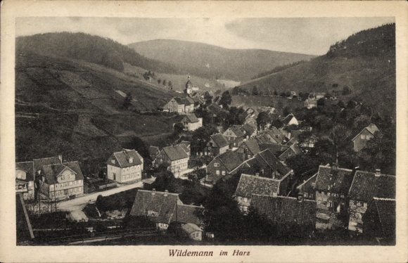 Ak Wildemann Clausthal Zellerfeld im Oberharz, Historische Ansicht von  Landschaft, Häuser, Harz