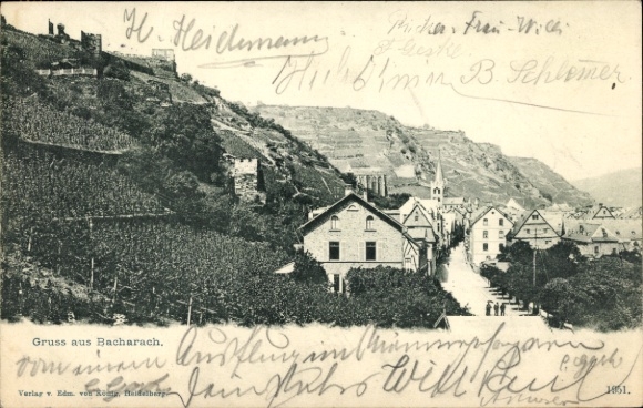 Bacharach am Rhein, pastures, vineyards, buildings, old architecture, PC