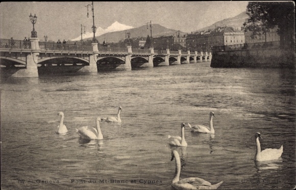 KP Genewa, Szwajcaria, Jezioro Genewskie, Pont du Mont-Blanc, łabędzie, w tle góra Mont-Blanc