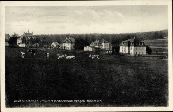 Ansichtkaart Reitzenhain Marienberg in het Ertsgebergte, uitzicht op het dorp en omgeving