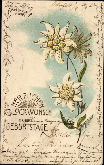 Präge Ak Glückwunsch zum Geburtstag, Edelweiß