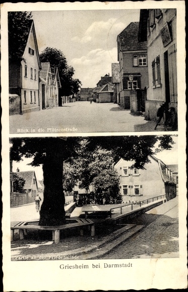PC Griesheim near Darmstadt, Pfützenstrasse, Friedenslinde