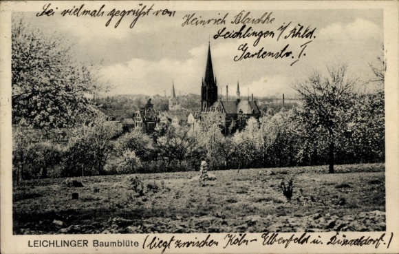 Postcard Leichlingen in the Rhineland, general view, tree blossom