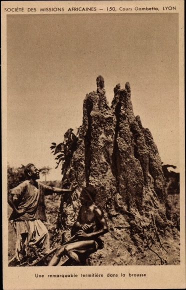 Postcard une remarkable termitière dans la brousse, two men in front of termite mounds