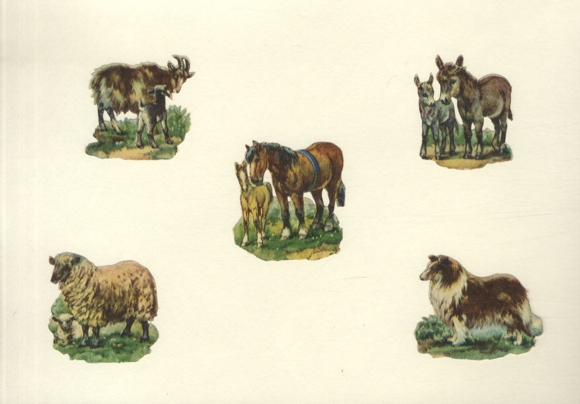 5 wafers goats, sheep, horses, donkeys and dogs, each approx. 6 x 6 cm